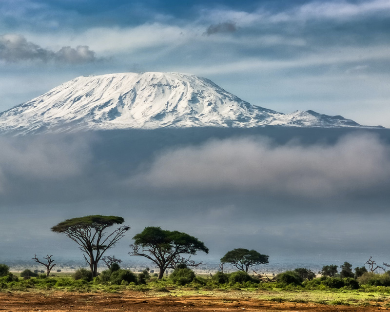 Kilimanjaro